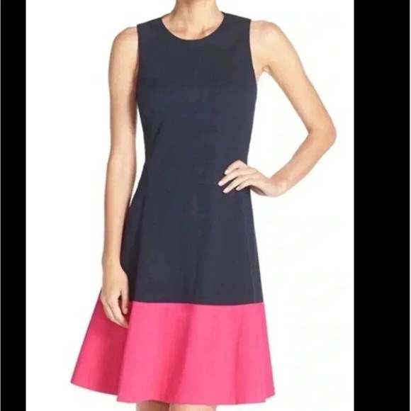 Eliza J Fit and Flare Navy Blue Pink Color block Dress Size 10 - Picture 1 of 10